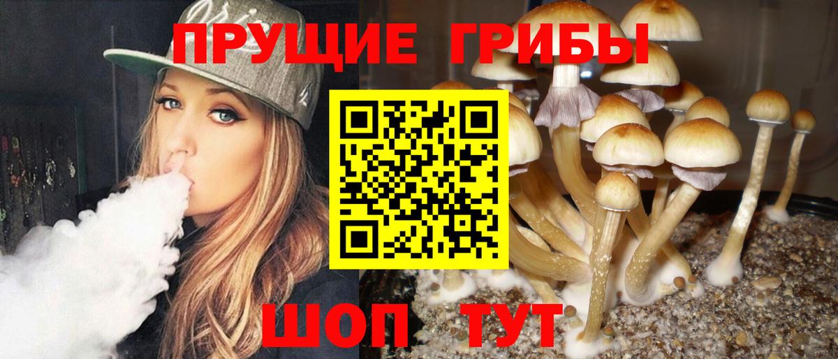 Галлюциногенные грибы ЛСД Усолье-Сибирское